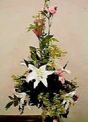 s~bhiOpj